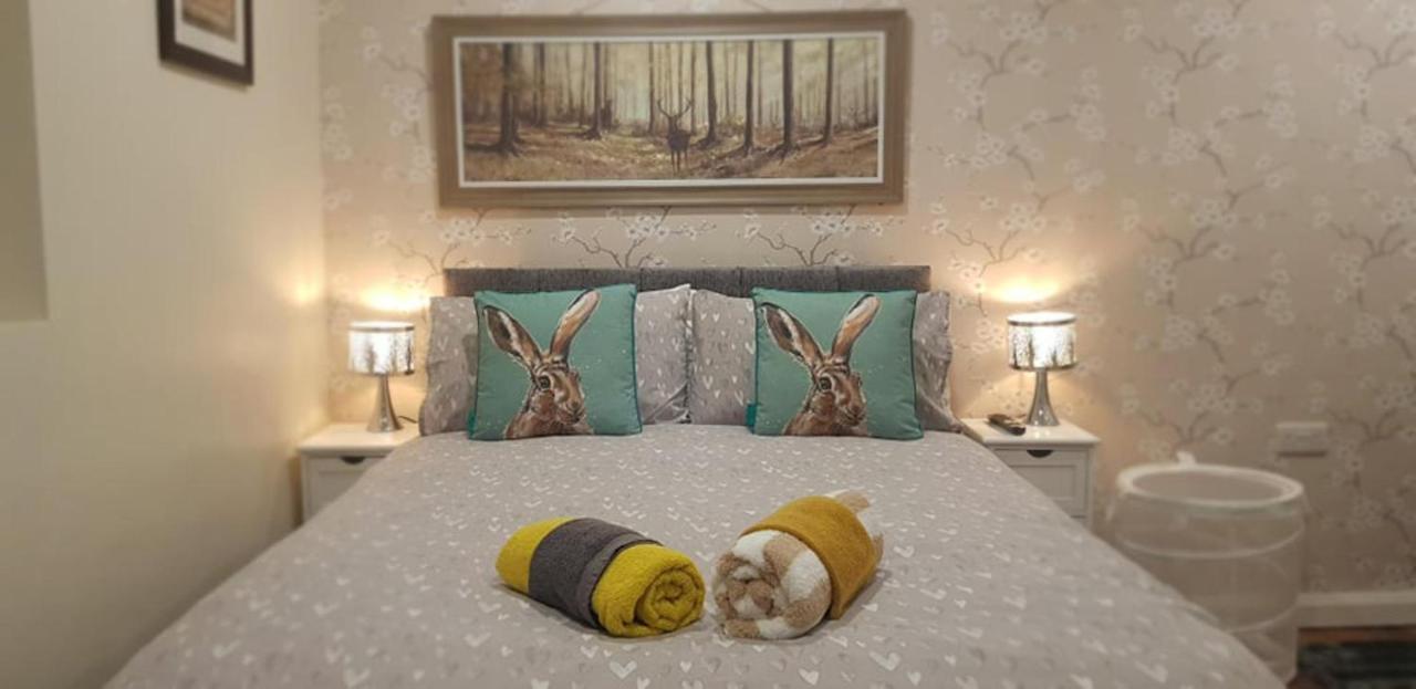 The Musical Ceol Cottage 1-Bedroom - Sleeps Four Ballynahinch المظهر الخارجي الصورة